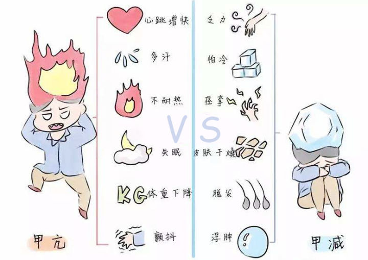 九游网页版-九游jiuyou(中国)
